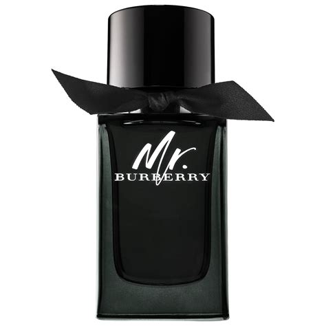 burberry mr burberry eau de parfum 50ml spray price|mr burberry perfume review.